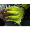 Image 2 : 4 NEW PIONEER BRAND XL HIGHVIS ZIPPER FRONT SAFETY VESTS