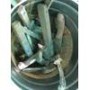 Image 3 : BUCKET W/MISC. WHEELS, WIRE BRUSHES, ETC.