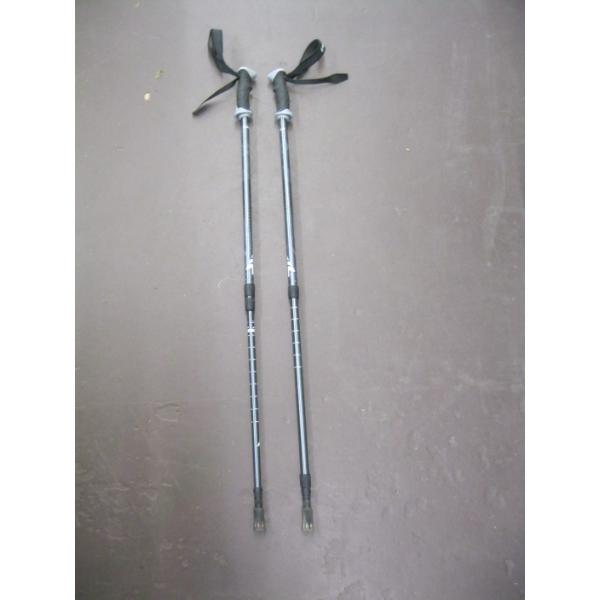 PAIR OF EXTENDABLE WALKING POLES