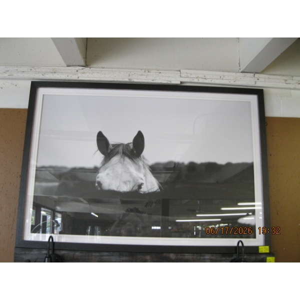 LG. FRAMED PHOTOGRAPH OF HORSE