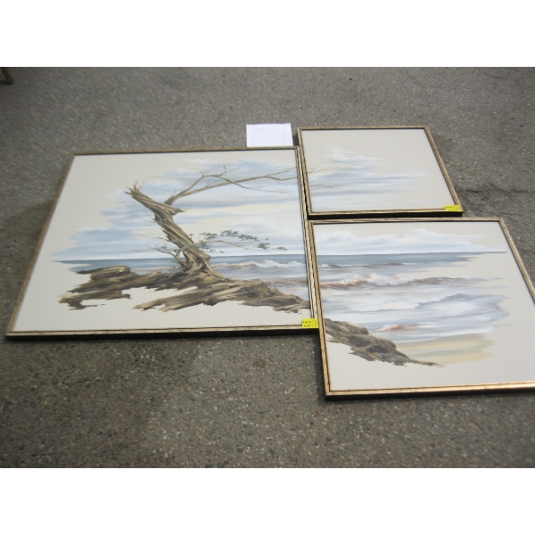 3 PIECE PICTURE SET
