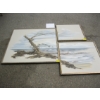 Image 1 : 3 PIECE PICTURE SET