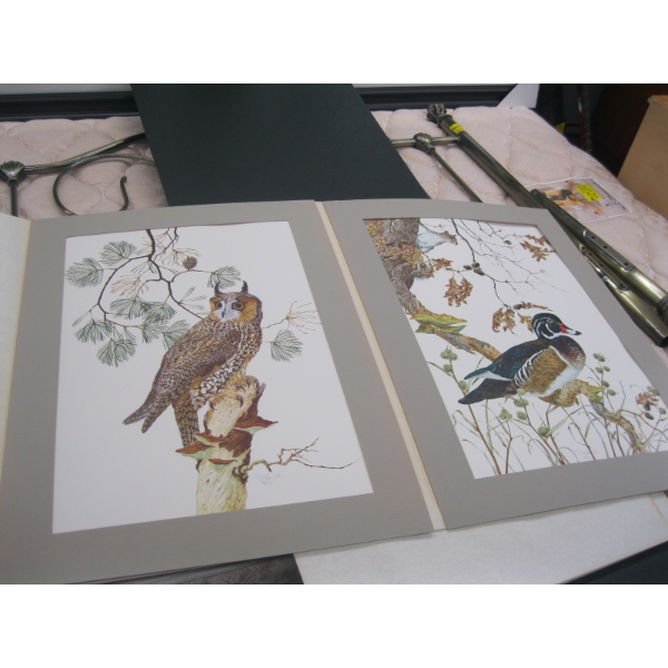 2 PRINTS FROM FRANKLIN MINT BY ROBIN HILL - UNFRAMED - WOOD DUCK & OWL