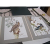 Image 1 : 2 PRINTS FROM FRANKLIN MINT BY ROBIN HILL - UNFRAMED - WOOD DUCK & OWL