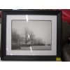 Image 3 : 3 LG. FRAMED PICTURES