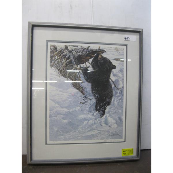 FRAMED PRINT OF BEAR IN WINTER, NUMBERED, C.V. LESTER