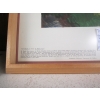 Image 2 : FRAMED EMILY CARR PRINT