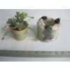 Image 3 : UNIQUE WOODEN CANDLEHOLDER