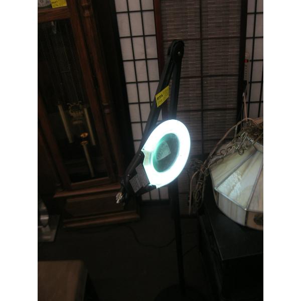POLE LIT MAGNIFYING STAND