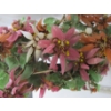 Image 2 : CHINESE JADE FLOWER IN CERAMIC POT