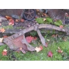 Image 3 : 4 PLOWS