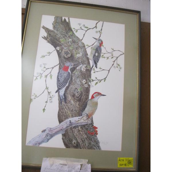 FRAMED PRINT OF RED BELLIED WOODPECKERS, BY ROBIN HILL, FRANKLIN MINT