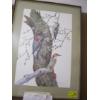 Image 1 : FRAMED PRINT OF RED BELLIED WOODPECKERS, BY ROBIN HILL, FRANKLIN MINT