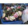 Image 1 : BIN OF ARTIFICIAL FLOWERS