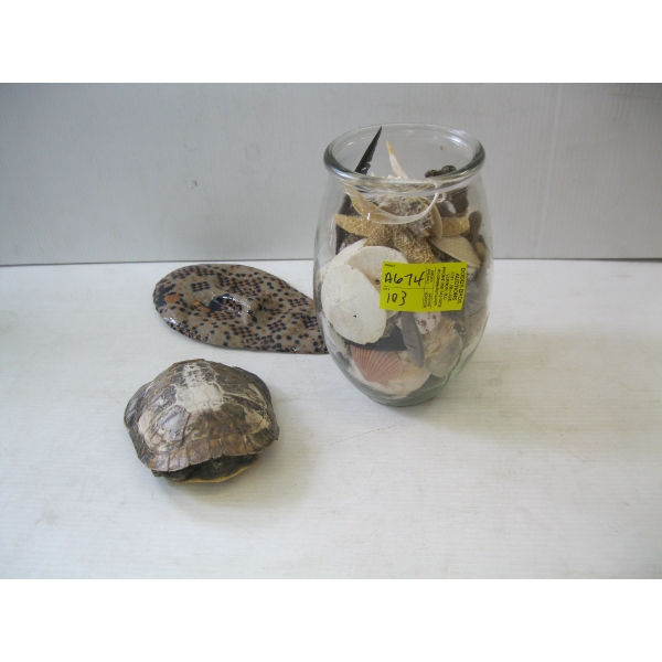 TURTLE SHELL, MASK & CONTAINER OF ASST. SHELLS