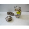 Image 1 : TURTLE SHELL, MASK & CONTAINER OF ASST. SHELLS