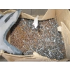 Image 5 : 2 BOXES OF NAILS