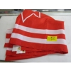 Image 2 : SIGNED CANADIAN HOCKEY FLAG