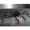 Image 3 : JUMPING SPIDER & ASST. HALLOWEEN DECORATIONS