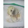 Image 3 : 3 BAGS OF SEASHELLS