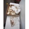 Image 1 : OYSTER SHELLS