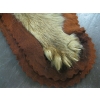 Image 3 : SMALL BROWN BEAR RUG W/HEAD MOUNT