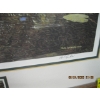Image 2 : PAUL RANKIN NUMBERED FRAMED SIGNED PRINT "SHALLOW ROOTS" W/MATCHING STAMP