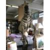 Image 4 : MOUNTED ZEBRA ON CARVED STAND
