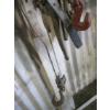 Image 3 : CABLE COMEALONG AND 3 CHAIN CINCHES