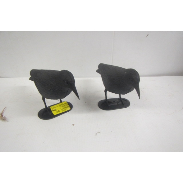 2 PLASTIC CROWS