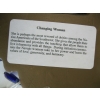 Image 5 : WALL PLAQUE - CHANGING WOMAN