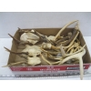 Image 1 : FLAT OF SMALL ANTLERS