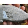 Image 2 : CARVING, SIGNED 