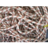Image 2 : LG. ROPE