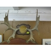 Image 1 : SET OF MOUNTED MOOSE HORNS