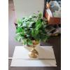 Image 2 : GOLD PLANT STAND W/CONTENTS