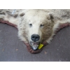 Image 2 : TANNED GRIZZLY HIDE WITH HEAD MOUNT