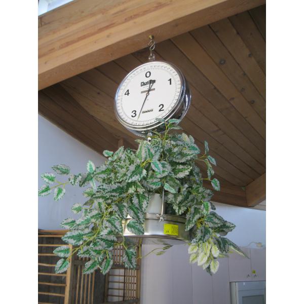 LG. HANGING SCALE W/ARTIFICIAL PLANT