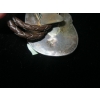 Image 3 : NAVAJO BOLO TIE, STAMPED R & STERLING