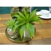 Image 2 : EVERYTHING ON TOP OF DINING TABLE - DISHES/DÉCOR, ETC.