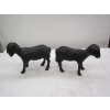 Image 1 : 2 CAST IRON SHEEP