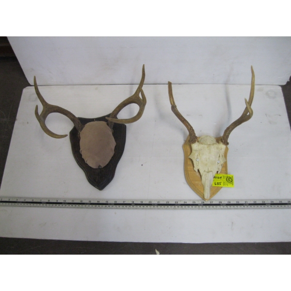 2 SETS OF DEER HORNS ON PLAQUES