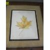 Image 3 : 2 FRAMED LEAF PICTURES & BEAR & FISH CANVAS PICTURE