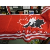 Image 1 : SIGNED CANADIAN HOCKEY FLAG