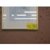 Image 2 : 2 SM. FRAMED PRINTS - SEAL & LOON