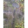 Image 1 : PULL BEHIND DISC
