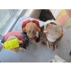 Image 2 : 3 MONKEYS