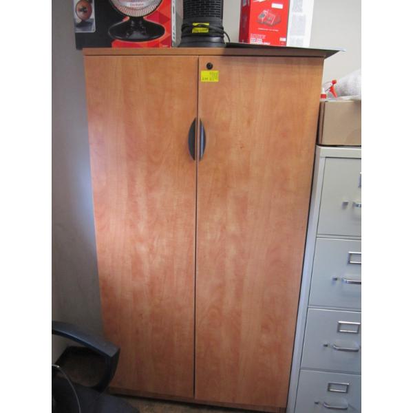 2 DOOR OFFICE CABINET