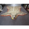 Image 1 : TANNED BROWN BEAR HIDE W/HEAD MOUNT