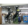 Image 1 : 2 HORSE STATUES